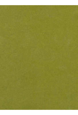 Kraftpapier Bruin recycled kraft uni olive green 50cm x 200meter