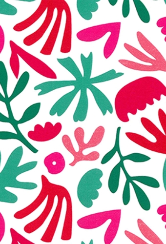 Cadeaupapier Coated Funky Jungle Pink & Groen 50cm x 200meter