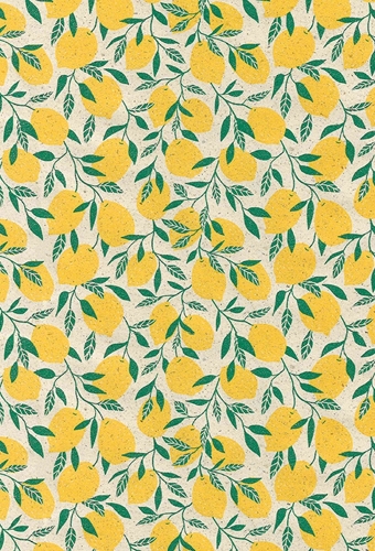 Cadeaupapier Gras little lemon yellow & groen 70cm x 200meter