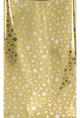 Kerstzakjes Folie Mita Goud & Little stars Plakstrip 15x23.5+3cm 100st