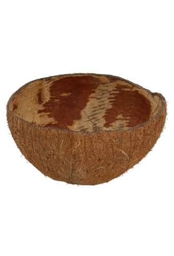 Coconuts Naturel 12cm kokosnoot bolster 3 stuks