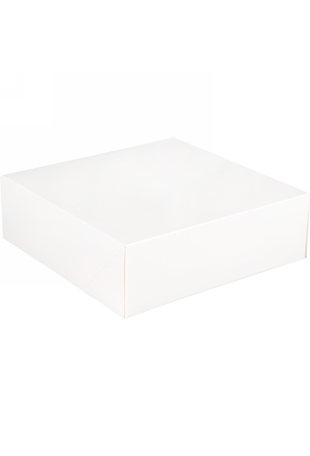 Gebaksdoos Blanco Wit Met Klep 25x25x8cm 270gram 175stuks OP IS OP