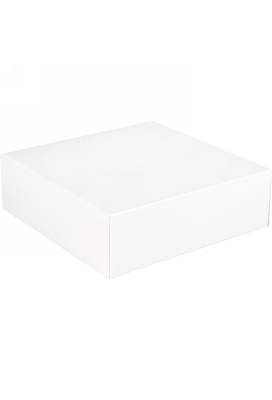 Gebaksdoos Blanco Wit Met Klep 25x25x8cm 270gram 175stuks OP IS OP
