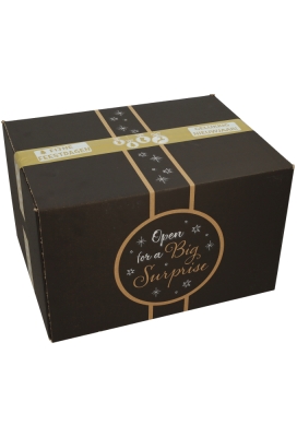 Bedrukt Tape Fijne Feestdagen Goud Tape 50mm x 66meter 1 stuk
