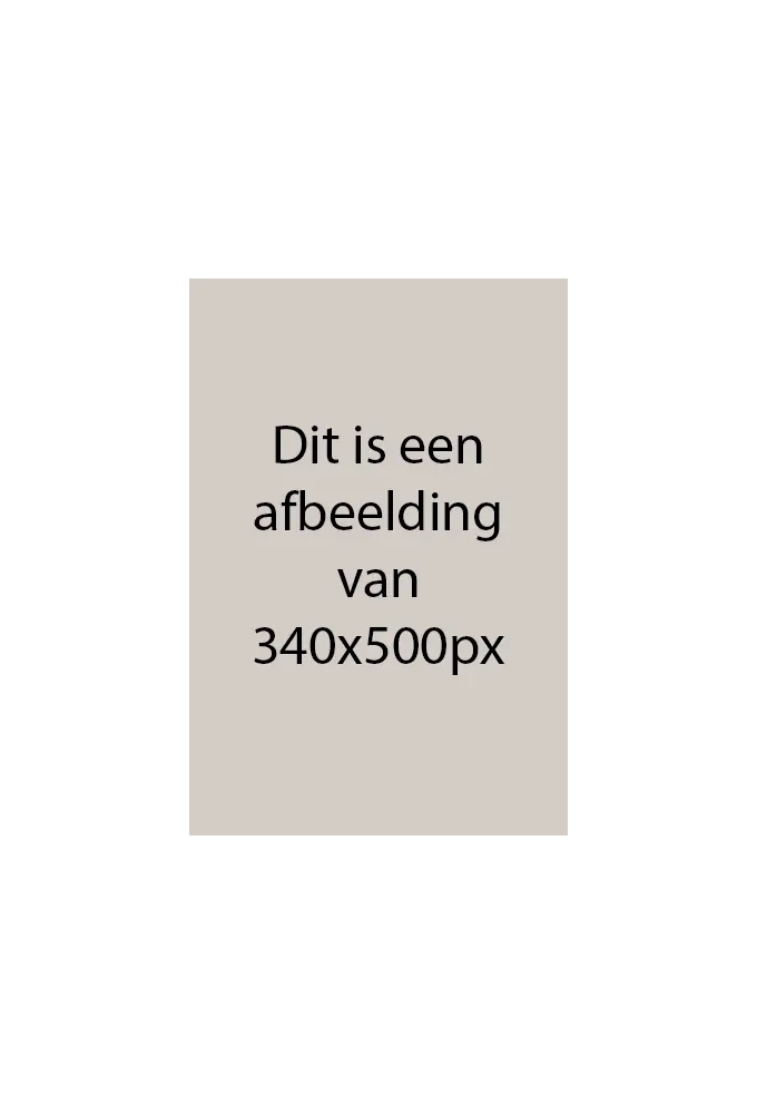 Wijntasjes 1 Fles Witte Wijn 12.5x9x36.5cm 12stuks