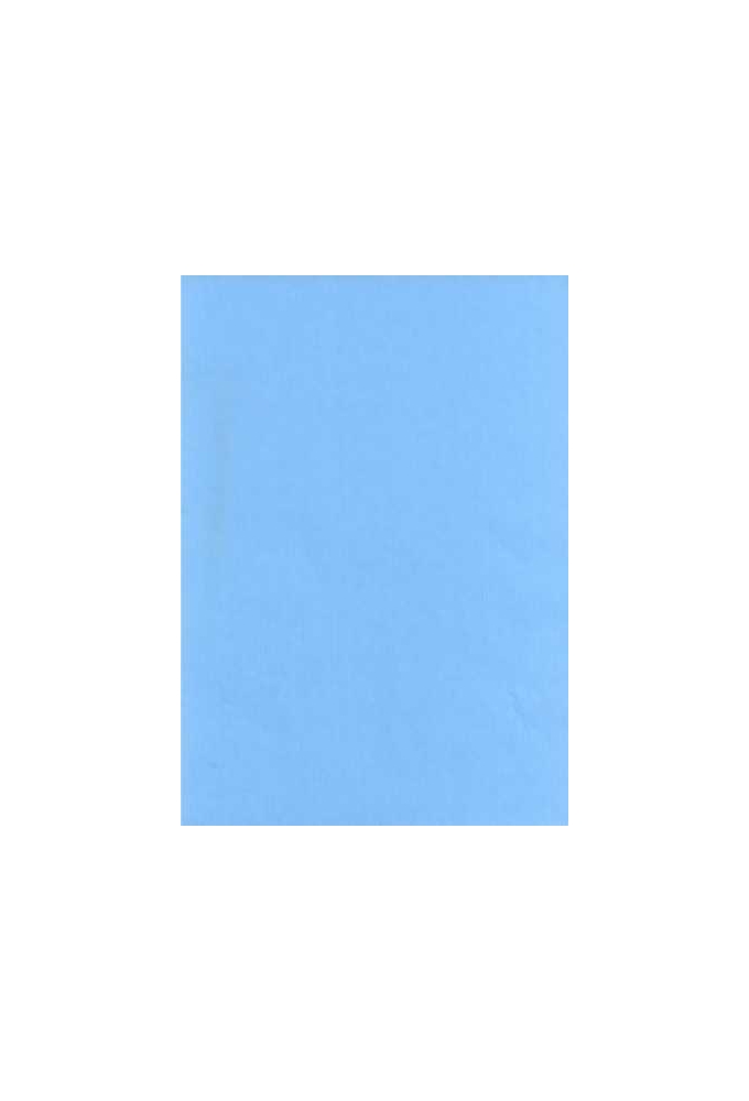 Luxe Kraft Dubbelzijdig Uni Aqua Blauw 70gr 40cm x 200meter
