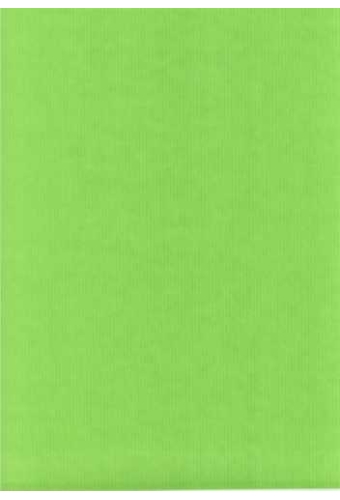 Luxe Kraft Dubbelzijdig Uni Appel Groen 70gram 100cm x 200meter