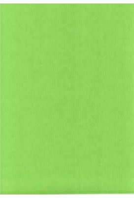 Luxe Kraft Dubbelzijdig Uni Appel Groen 70gram 100cm x 200meter