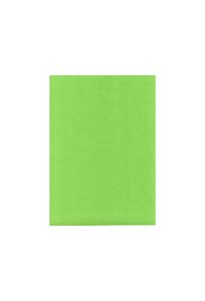 Luxe Kraft Dubbelzijdig Uni Appel Groen 70gram 100cm x 200meter