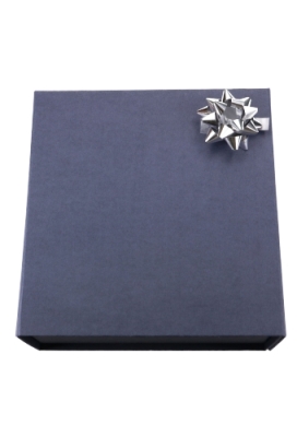 Mini Bows Strik Rond 50mm Metallic Zilver Met Plakker 100stuks