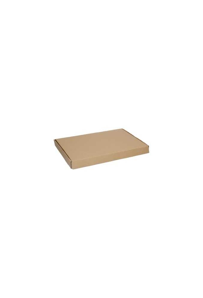 Brievenbusdoos Klep Pinto Kraft A4 31.5x22.5x3cm 25stuks