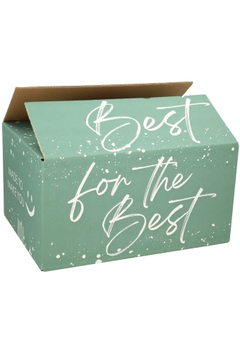 AKTIE Geschenkdozen For The Best Groen 31x20x14cm 30stuks