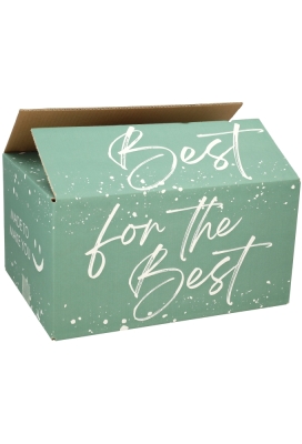 AKTIE Geschenkdozen For The Best Groen 31x20x14cm 30stuks