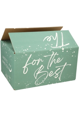 AKTIE Geschenkdozen For The Best Groen 31x20x14cm 30stuks