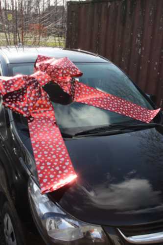 Magnum Autostrik Livorno Wijn Rood & Witte Hartjes Print 70x50+60cm