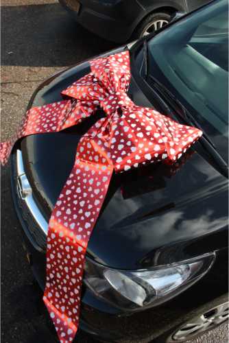 Magnum Autostrik Livorno Wijn Rood & Witte Hartjes Print 70x50+60cm