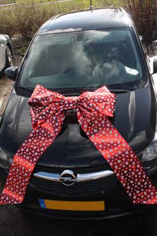 Magnum Autostrik Livorno Wijn Rood & Witte Hartjes Print 70x50+60cm