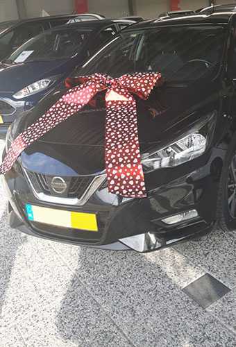 Magnum Autostrik Livorno Wijn Rood & Witte Hartjes Print 70x50+60cm