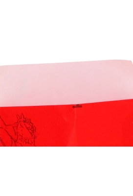 Sintzakjes Sintzakjes Rood Surprise 7x13cm 200stuks