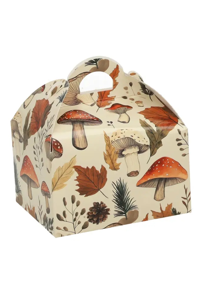 Bonbondoosjes Mushroom mix 250gr Met Koffersluiting 9.5x7.5x6cm 24stuks