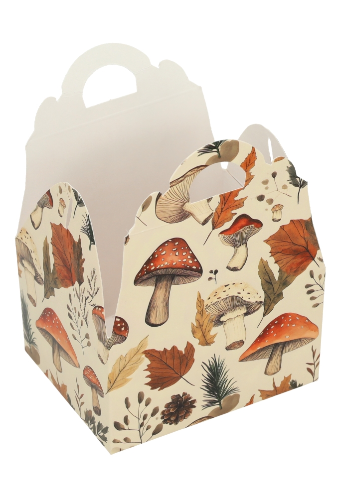 Bonbondoosjes Mushroom mix 250gr Met Koffersluiting 9.5x7.5x6cm 24stuks