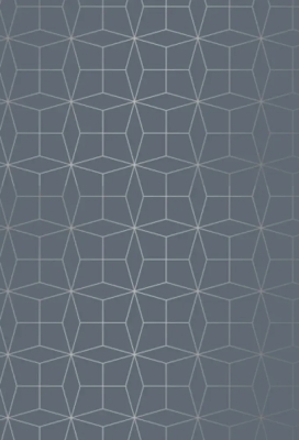 Kerstpapier starline grey Zilver 60cm x 200meter OP IS OP