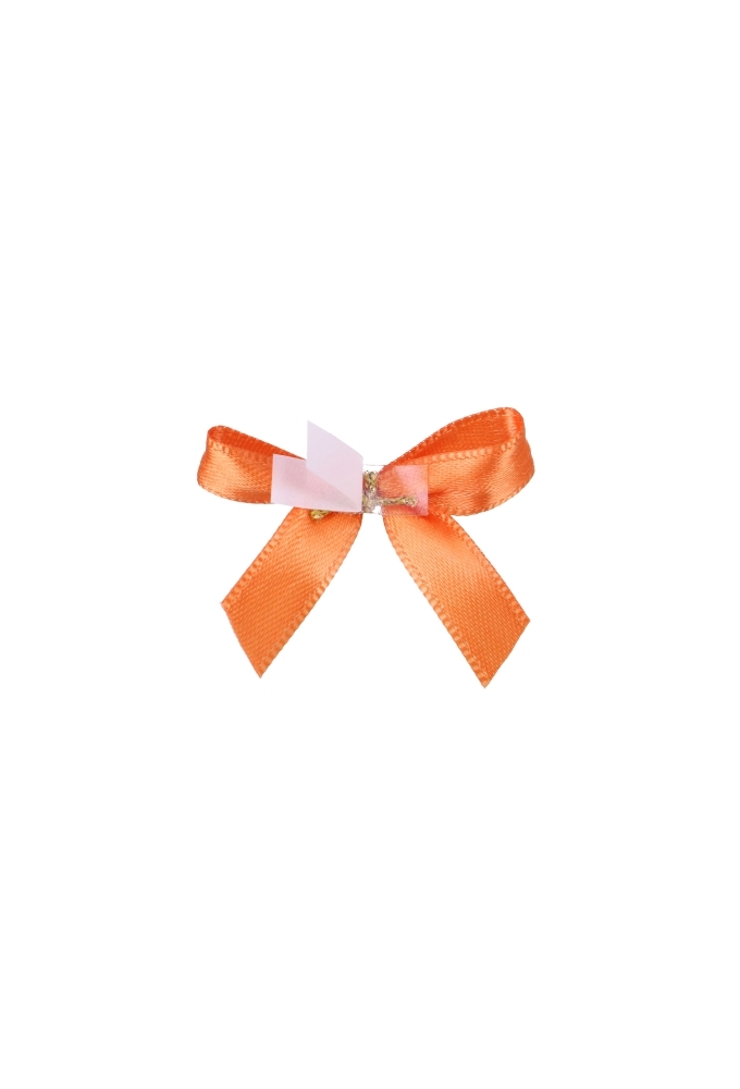 Luxe Strikje Satijn Oranje & Plakker 4x3.5cm 250stuks lint 1.0cm