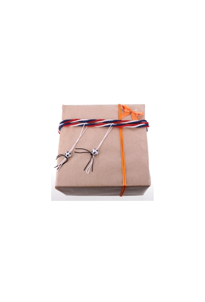 Luxe Strikje Satijn Oranje & Plakker 4x3.5cm 250stuks lint 1.0cm