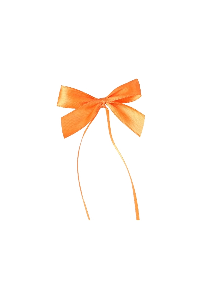 Strikje 100 Procent Recycled Pet Oranje & Lint 6x5cm 250stuks
