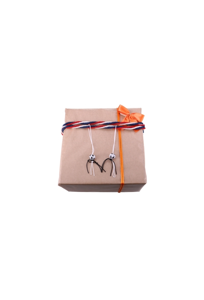 Luxe Strikje Satijn Oranje & Plakker 6x5cm 250stuks lint 1.5cm