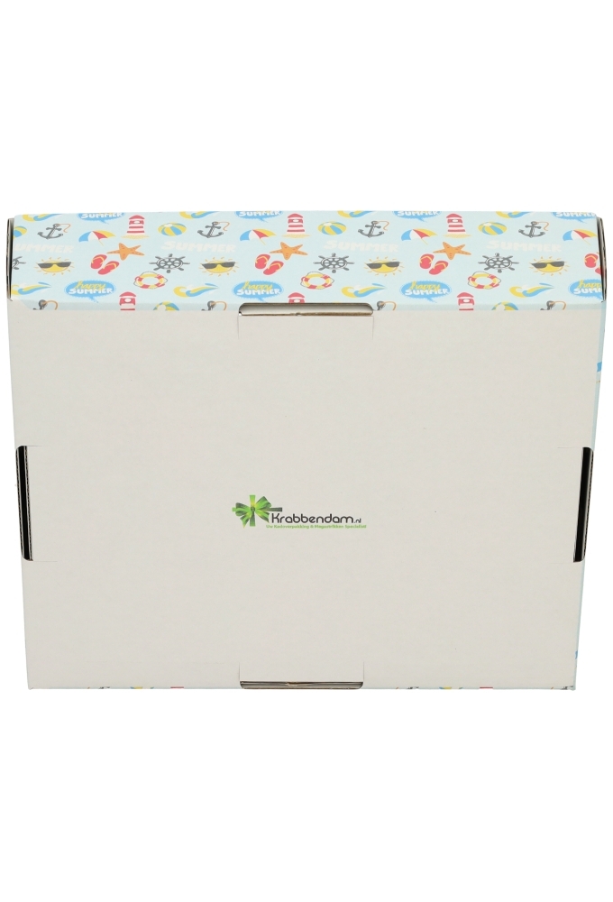 Geschenkdozen Zomer Korf Summer 23x17x8cm 10stuks