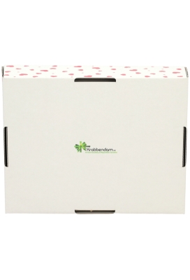 Geschenkdozen Korf Hartjes 23x17x8cm 10stuks