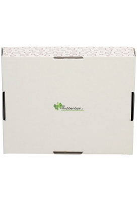Geschenkdozen Korf Hart Line 23x17x8cm 10stuks
