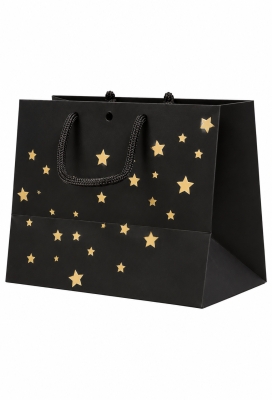 NIEUW Kersttasje Venster Zwart Gold Present Stars 24x14x19.5cm 12stuks 