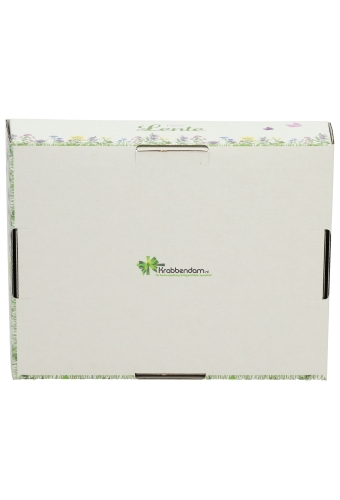 Geschenkdozen Korf Voorjaar Lente 23x17x8cm 10stuks