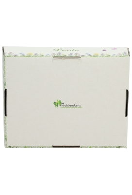 Geschenkdozen Korf Voorjaar Lente 23x17x8cm 10stuks