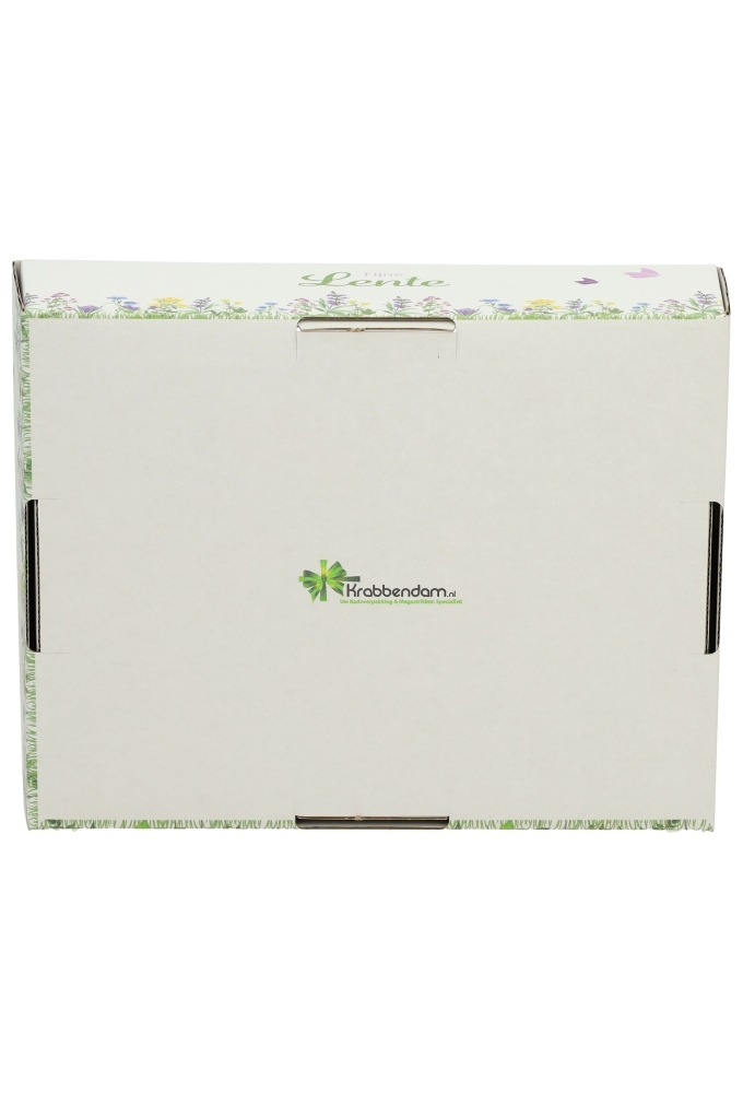 Geschenkdozen Korf Voorjaar Lente 23x17x8cm 10stuks