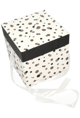 Geschenkdoos Regalo Gifts Dots & Wit Lint 20x20x20cm 25stuks