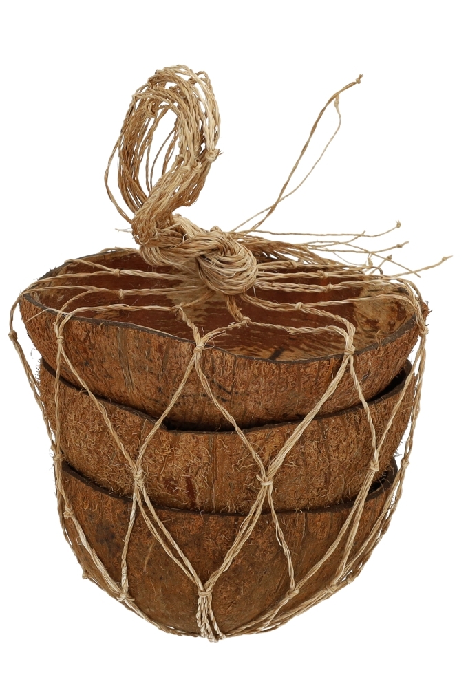 Coconuts Naturel 12cm kokosnoot bolster 3 stuks