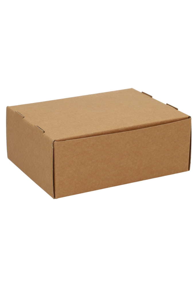 Geschenkdoos Vista Venster Kraft 20.5x16x8cm 100stuks