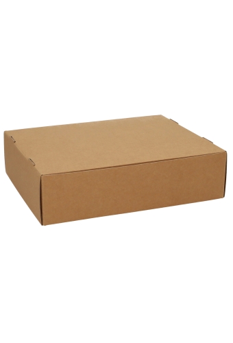 Geschenkdoos Vista Venster Kraft 30.5x24x8cm 50stuks