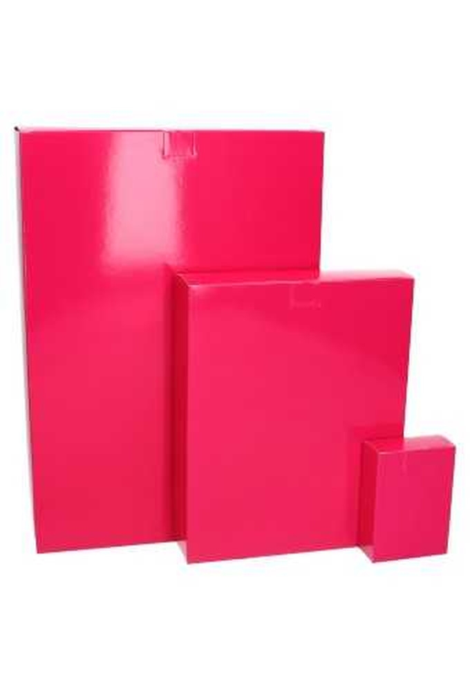 2 HALEN & 1 BETALEN Kadodozen Sluitklepje Fuchsia Glans 26x6x37cm 10st