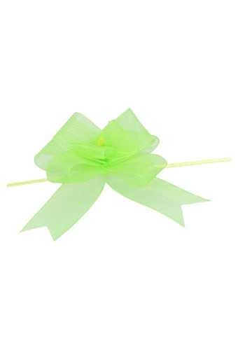 2 HALEN & 1 BETALEN Mini Trek Strikken Organza Groen 15mm r45mm 10st