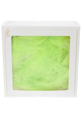 AKTIE Luxe Decoratie Veren 40 gram Licht Groen