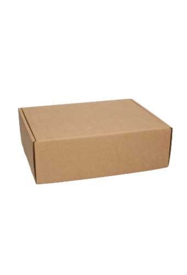 AKTIE Verzenddoos Klepdoosje Budget Fast Naturel 25.5x20x8cm 50stuks