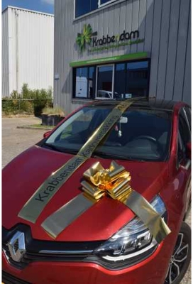 Autostrikken Groot Padova Metallic Goud d35+17cm Hoogte 22cm.