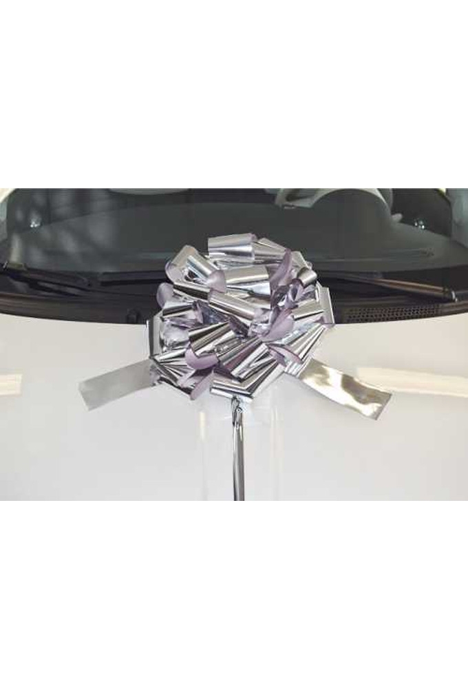 Autostrikken Groot Padova Metallic Zilver d35+17cm Hoogte 22cm.