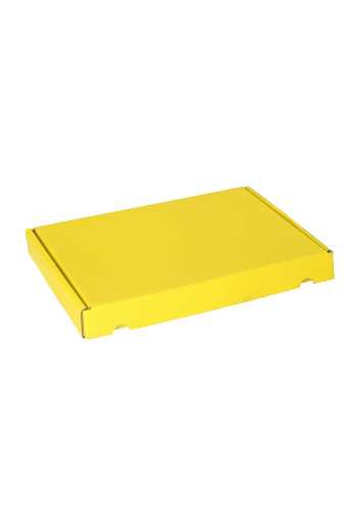 Brievenbusdoos Met Klep Pinto Kraft Geel A5 23x16x2.6cm 25stuks