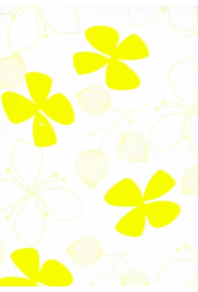 Cadeaufolie Transparant Flower Geel 70cm x 50meter 35my OP IS OP