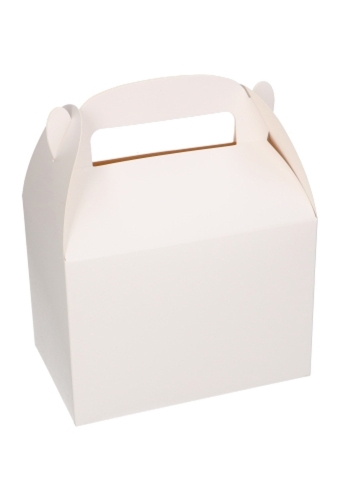 Draagdoosjes Danau Wit 17.3x11.4x12.3cm 25stuks